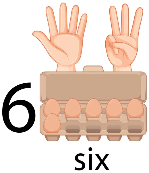 Contagem Número Seis Com Ovos Ilustração Caixa — Vetor de Stock