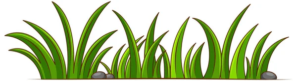 Herbe Verte Sur Fond Blanc Illustration — Image vectorielle