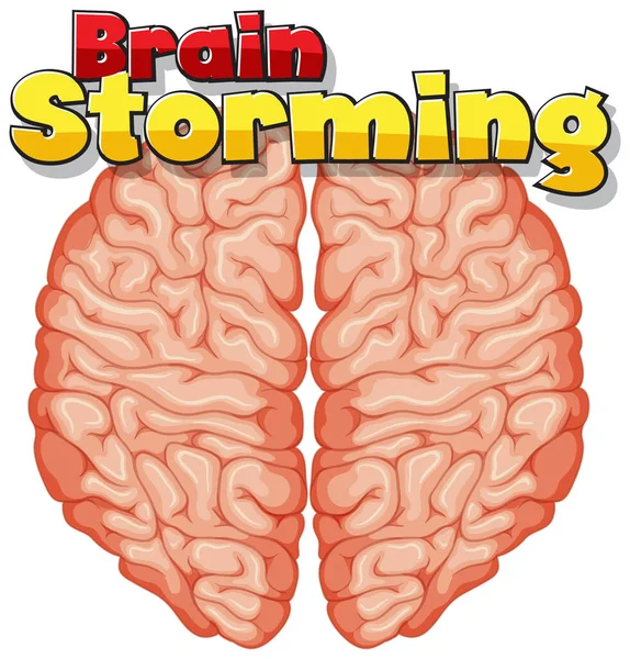 Font Design Word Brain Storming Human Brain Background Illustration — Stock Vector