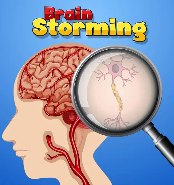 Diseño Fuente Para Palabra Brain Storming Con Cerebro Humano Ilustración — Vector de stock