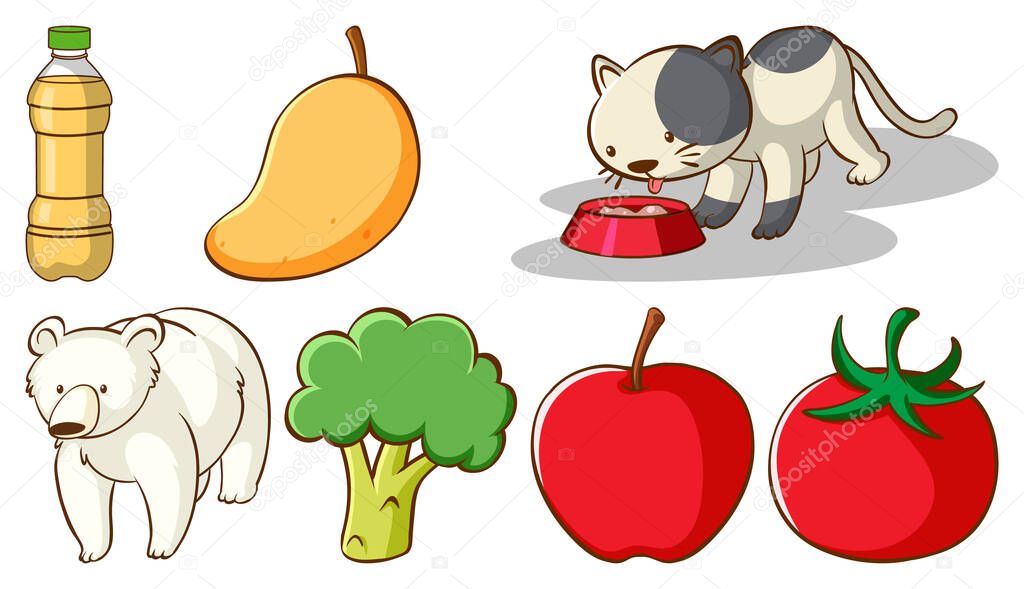 Large set of different animals and other objects on white background illustration