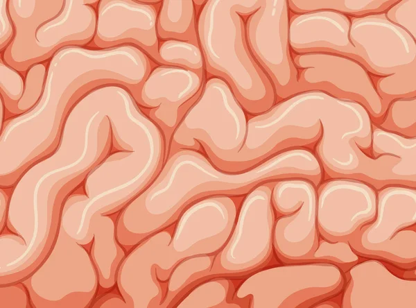Σχεδιασμός Φόντου Απεικόνιση Ανθρώπινου Εγκεφάλου — Διανυσματικό Αρχείο