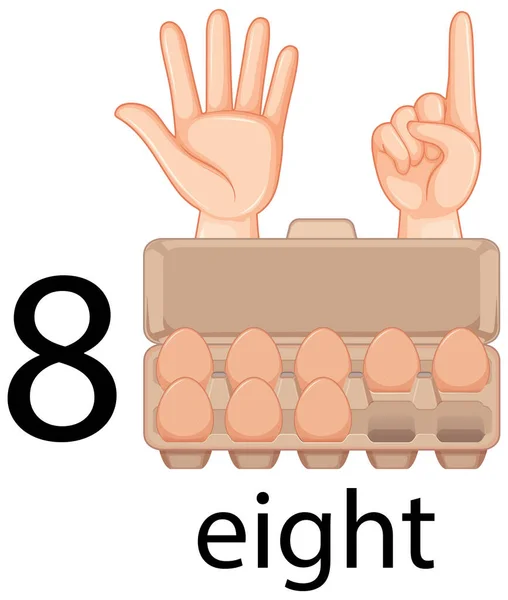 Zahl Acht Mit Handbewegung Und Eiern Karton Zählen — Stockvektor