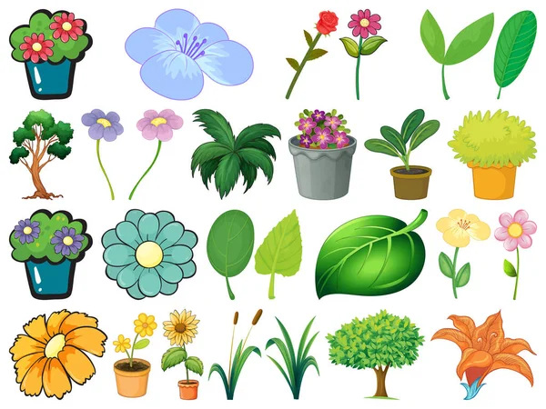 Grand Ensemble Différentes Plantes Sur Fond Blanc Illustration — Image vectorielle