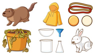 Beyaz arkaplan illüstrasyonunda geniş bir hayvan kümesi ve diğer nesneler