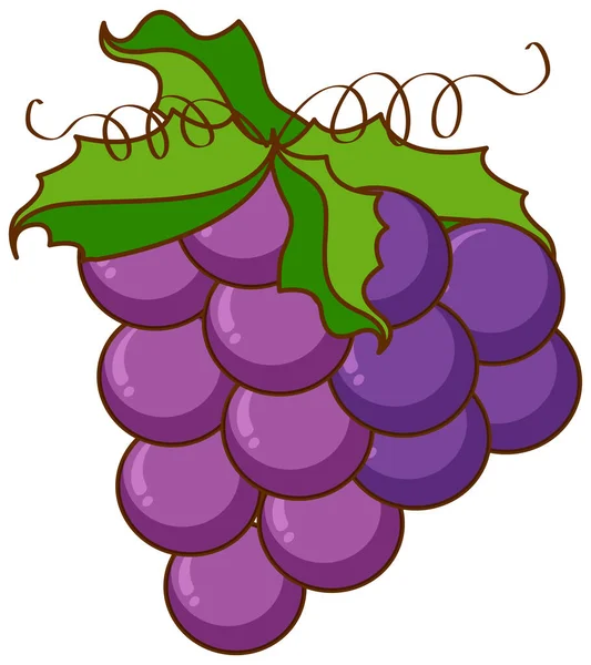 Grapes Green Vine White Background Illustration — Stock Vector