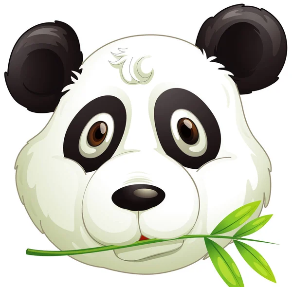 Face Cute Panda Eating Bamboo Leaves Illustration — Stock Vector