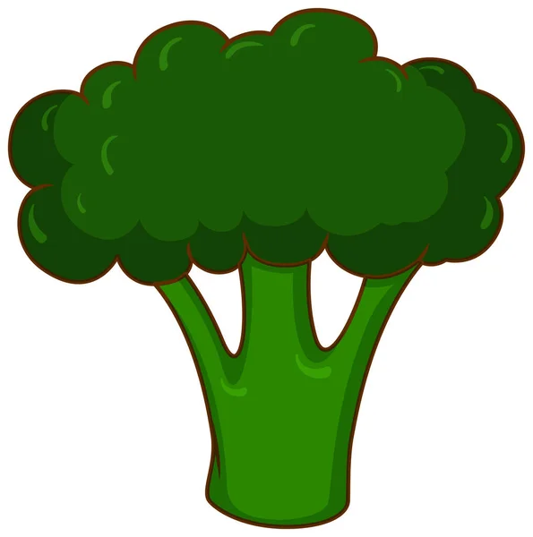 One Green Broccoli White Background Illustration — Stock Vector