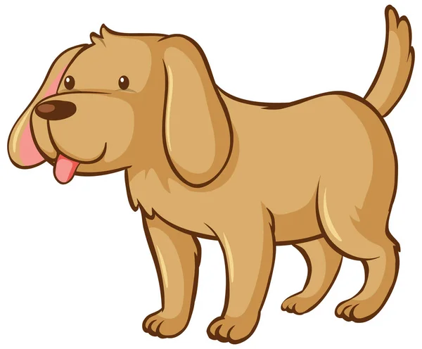 白色背景图上的一只棕色狗 — 图库矢量图片