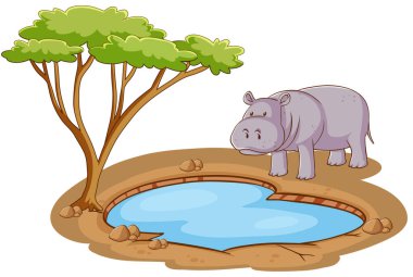 Beyaz arkaplanda gölün kenarında duran su aygırlı sahne