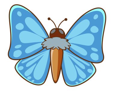 Beyaz arkaplan resimlerinde mavi kanatlı kelebek