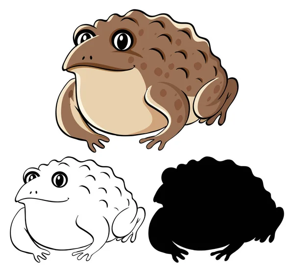 Set Toad Cartoon Illustration — Stock Vector