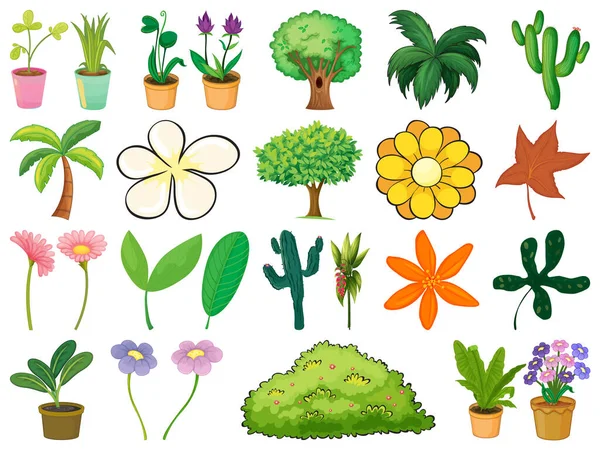 Grande Conjunto Diferentes Plantas Sobre Fundo Branco Ilustração — Vetor de Stock