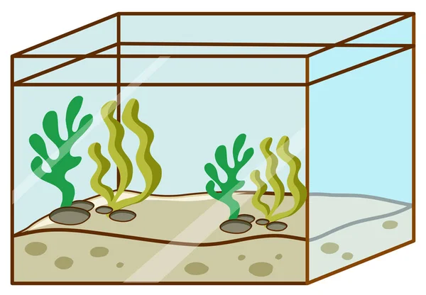 Fishtank Med Ingen Fisk Inuti Vit Bakgrund Illustration — Stock vektor