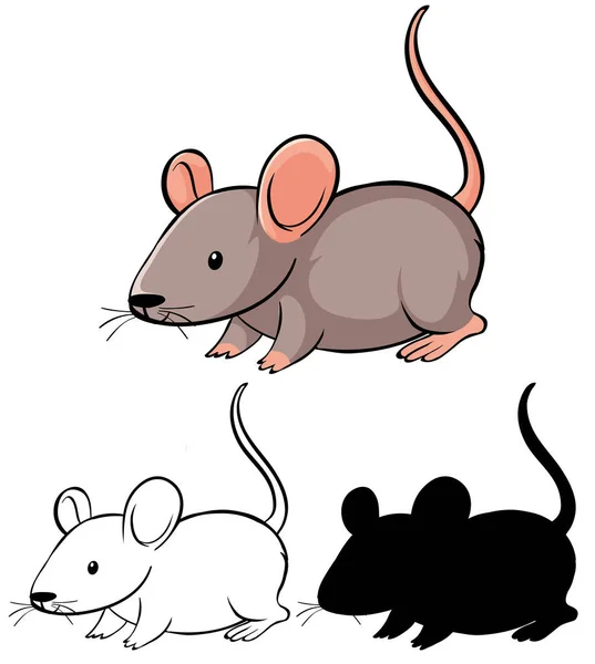Set Rat Cartoon Illustration — Stock Vector