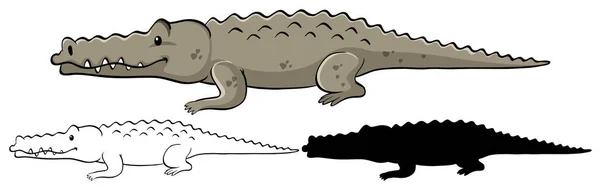 Set Van Krokodil Cartoon Illustratie — Stockvector