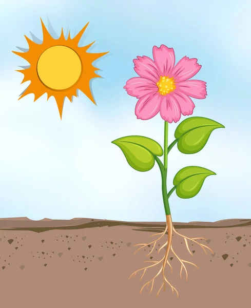 Parlak Güneşli Bir Günde Çiçeklerle Büyüyen Manzara — Stok Vektör