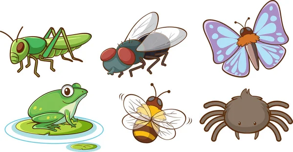 Grand Ensemble Insectes Différents Sur Fond Blanc Illustration — Image vectorielle