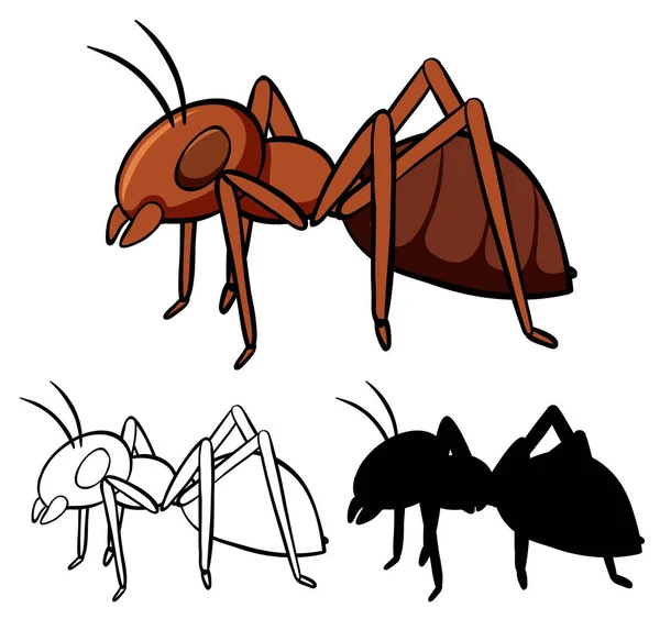 Set Ant Cartoon Illustration — Stock Vector