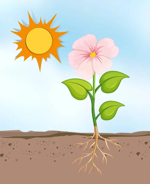 Scène Met Bloemen Groeien Heldere Zonnige Dag Illustratie — Stockvector