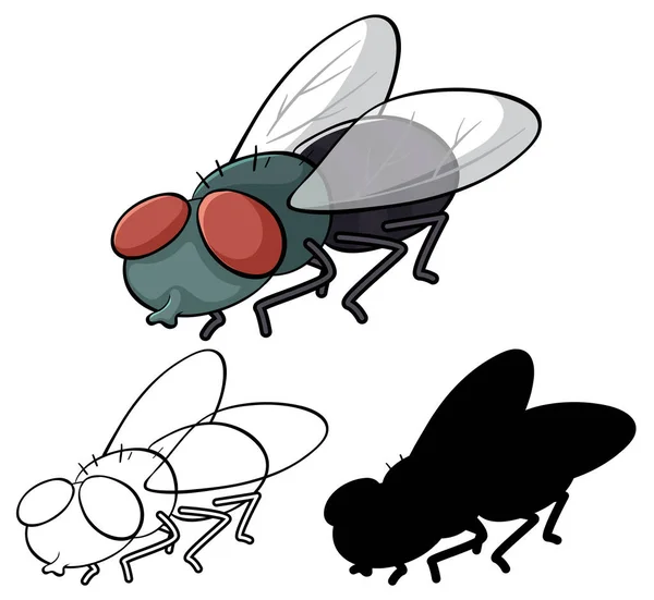 一套苍蝇卡通画 — 图库矢量图片