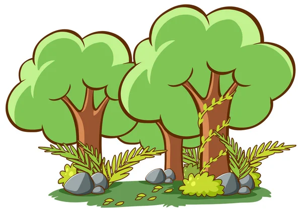 Veel Grote Bomen Het Bos Achtergrond Illustratie — Stockvector