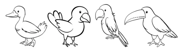 Sada Ilustrací Obrysů Ptáků — Stockový vektor