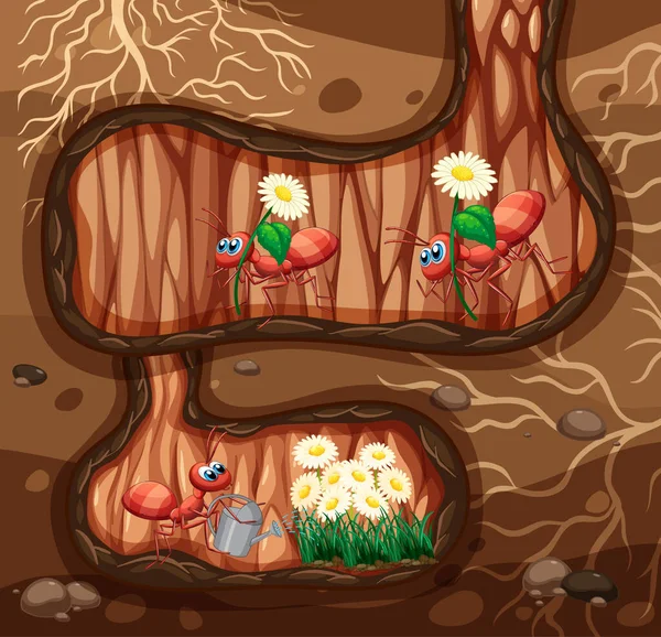 Podzemní Scéna Mnoha Mravenci Květiny Ilustrace — Stockový vektor