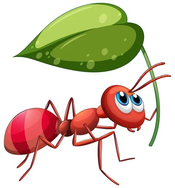 Ant Holding Green Leaf Illustration — Stock Vector