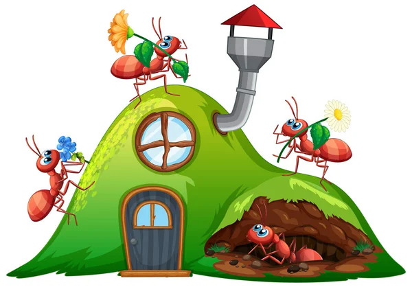 Scène Avec Nombreuses Fourmis Sur Colline Illustration Maison — Image vectorielle