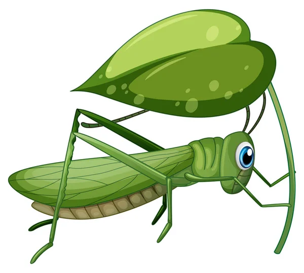 Grasshopper Tenendo Congedo Sfondo Bianco Illustrazione — Vettoriale Stock