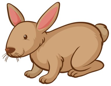 Beyaz arkaplanda kahverengi bir tavşan