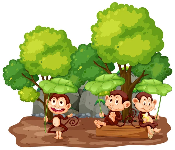 Scene Three Monkeys Park Illustration — Stock Vector
