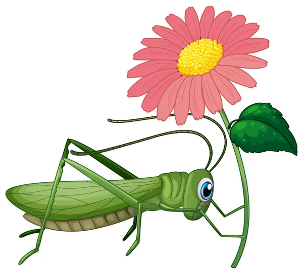 Grasshopper Sosteniendo Flor Rosa Ilustración — Archivo Imágenes Vectoriales