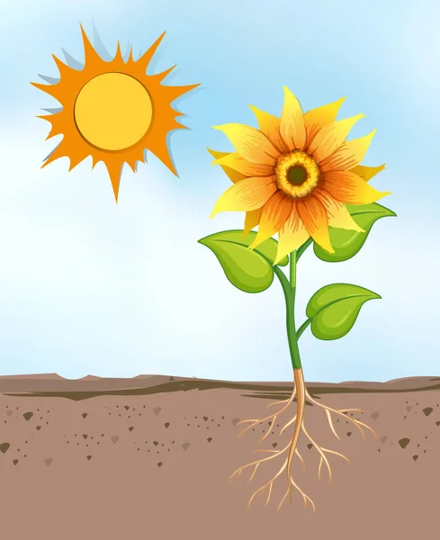 Scéna Květinami Rostoucí Jasném Slunečném Dni Ilustrace — Stockový vektor