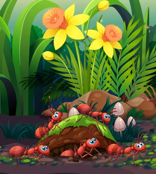 Szene Mit Pflanzen Und Insekten Garten Illustration — Stockvektor