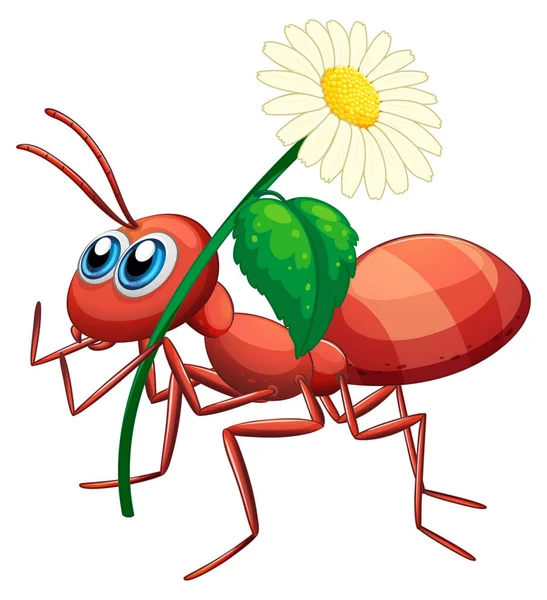 Ant Holding Daisy Flower Illustration — Stock Vector