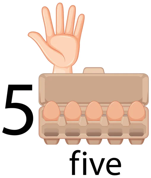 Counting Number Five Hand Gesture Eggs Carton Illustration — Stock Vector