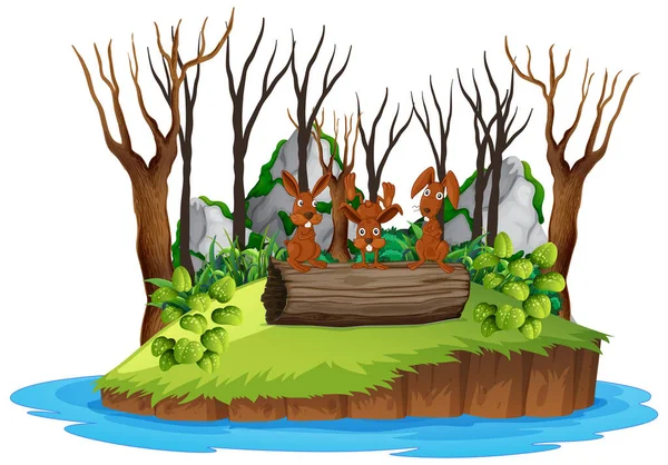 Tres Conejos Isla Naturaleza Ilustración — Vector de stock