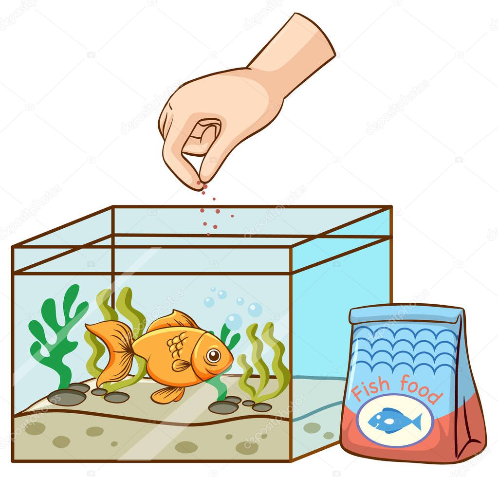 Hand feeding goldfish in the tank illustration