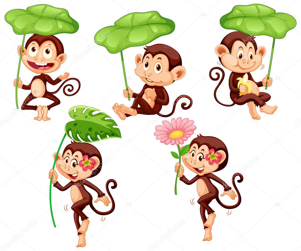 Set of cute monkey with green leaf on white background illustration