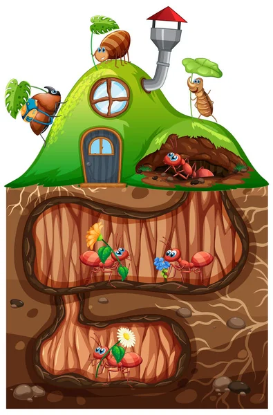 Scéna Mravenci Žijícími Podzemí Zahradní Ilustraci — Stockový vektor