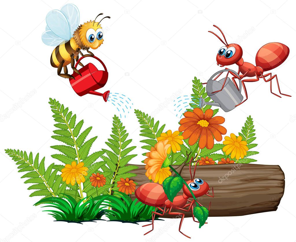 Insects watering the plant on white background illustration