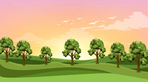 Scene Many Trees Field Illustration — Stock Vector