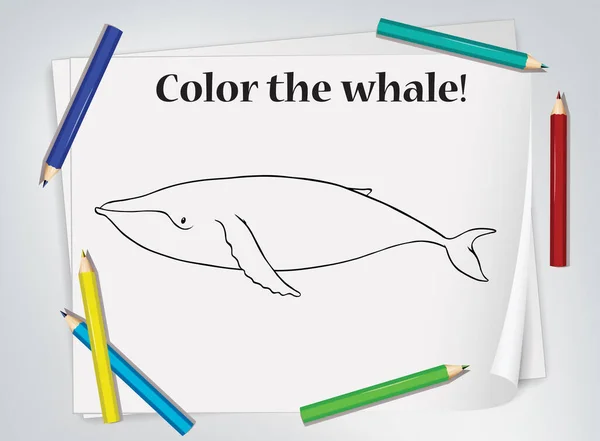 子供クジラの着色ワークシートのイラスト — ストックベクタ