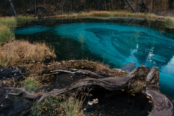 Krajina s starý pařez a modré jezero. Pohoří Altaj. Rusko. — Stock fotografie