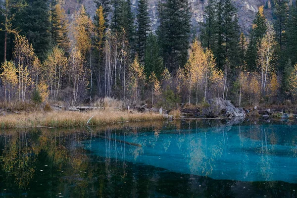 Lago azul inusitado en las montañas Altay. Rusia . — Foto de Stock