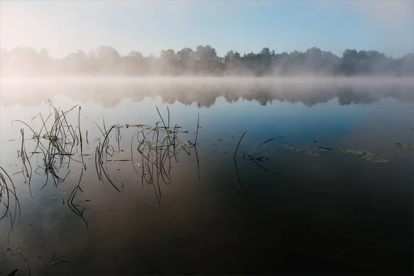 Mglisty poranek na rzeką oką. Rosja. — Zdjęcie stockowe