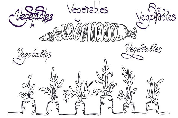 Set Con Carota Testo Sono Varianti Testo — Vettoriale Stock