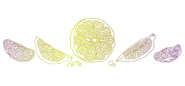 Ilustrasi Lemon Line dibuat dengan gaya lama hewan peliharaan. Ada fru - Stok Vektor